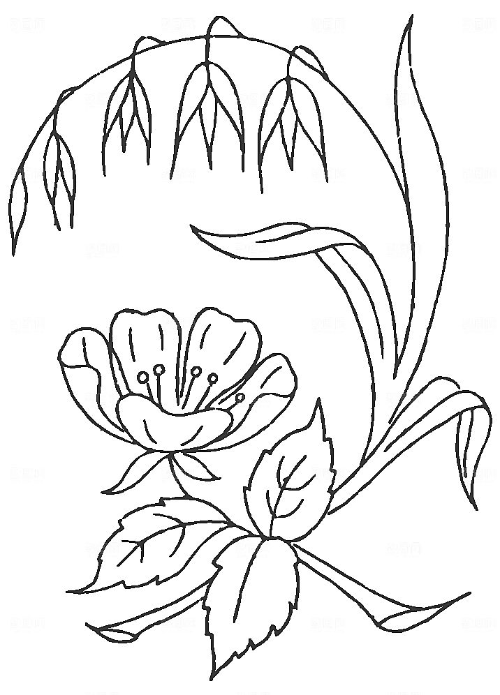 矢量线条鲜花花卉素材