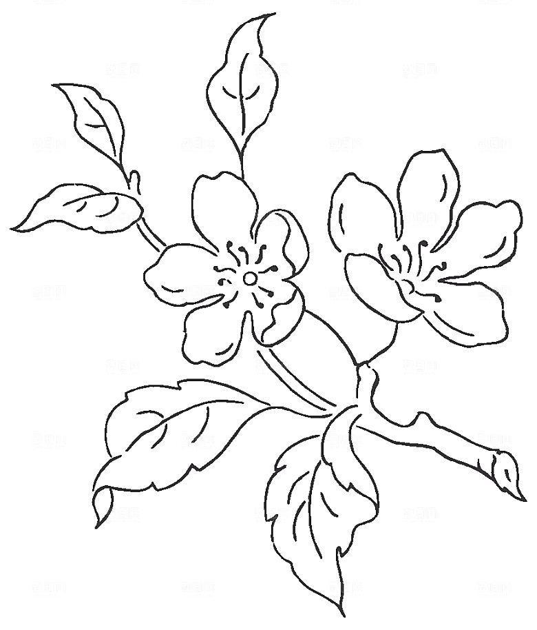 矢量线条鲜花花卉素材
