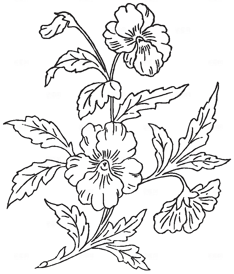 矢量线条鲜花花卉素材