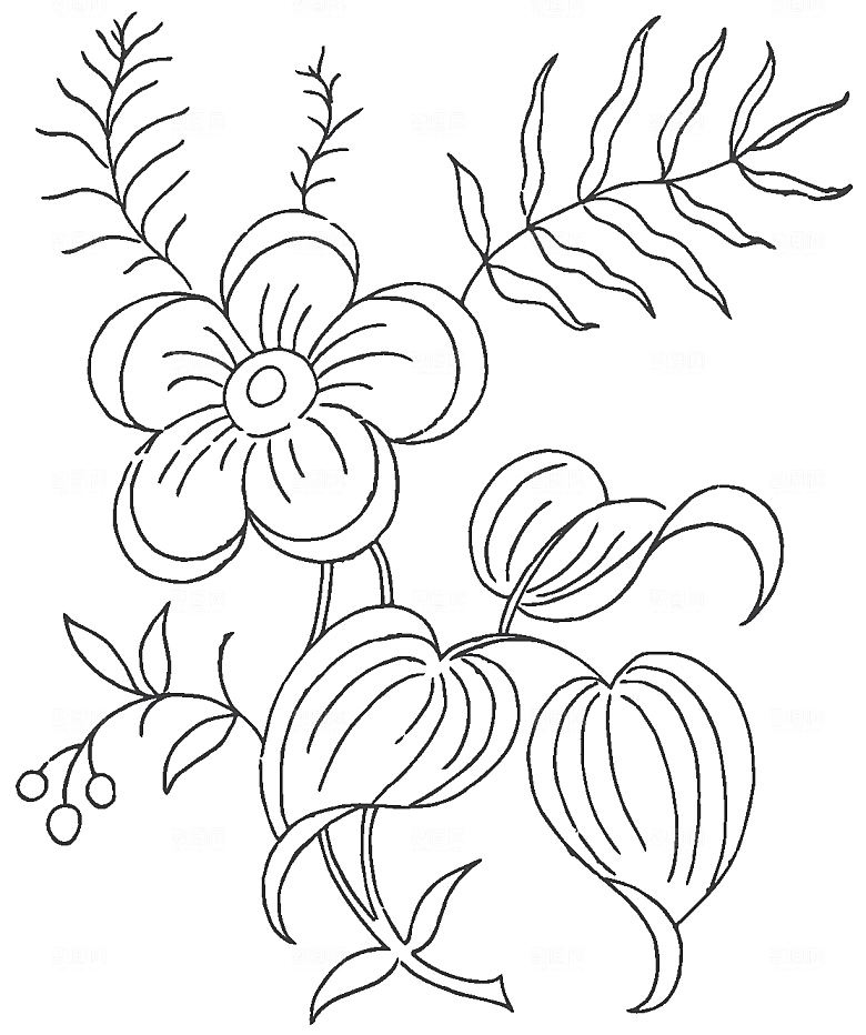 矢量手绘鲜花花朵素材