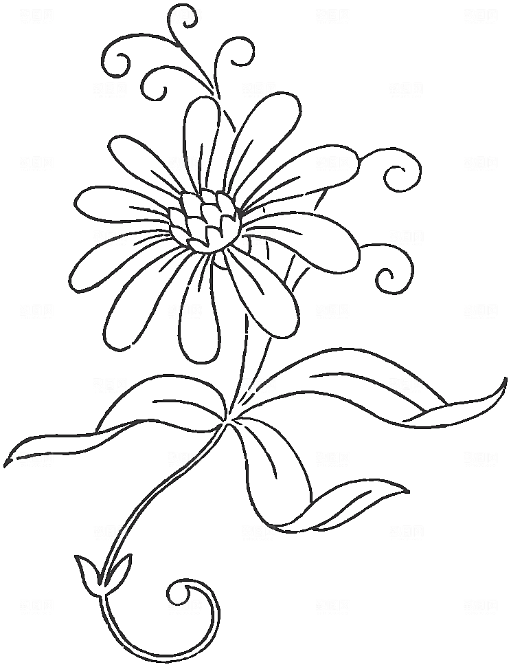 矢量手绘鲜花花朵素材