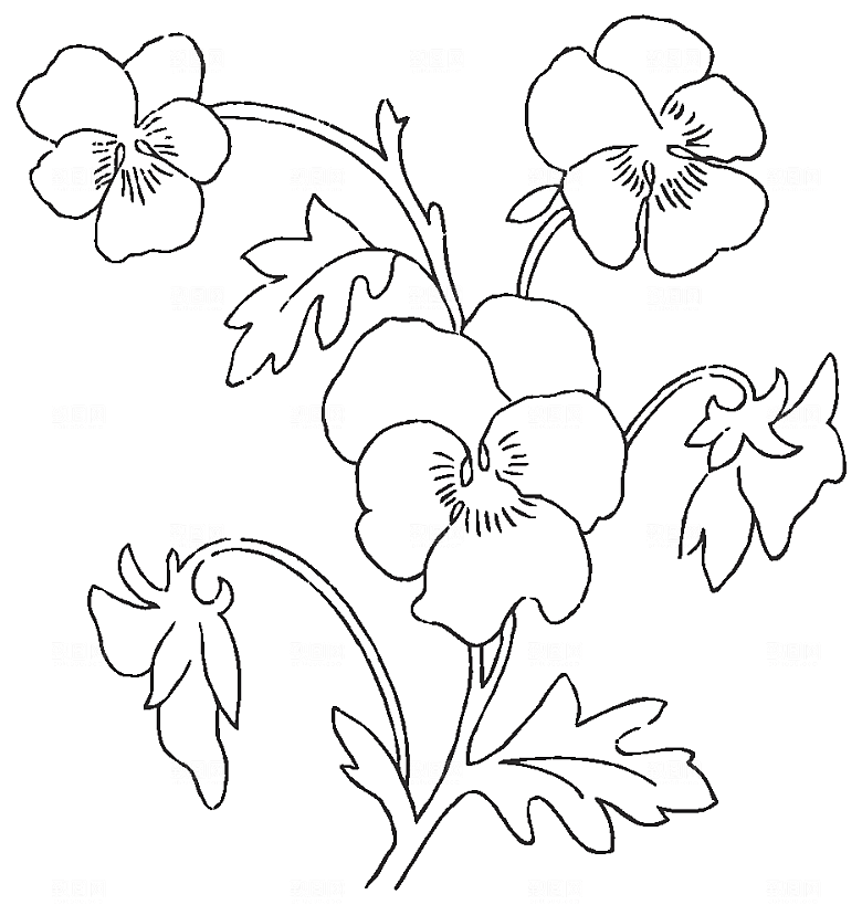 矢量手绘鲜花花朵素材