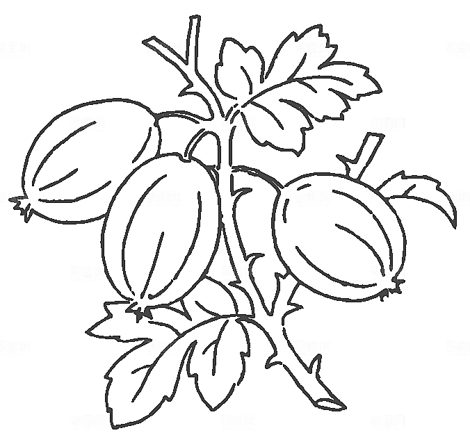 矢量手绘鲜花花朵素材