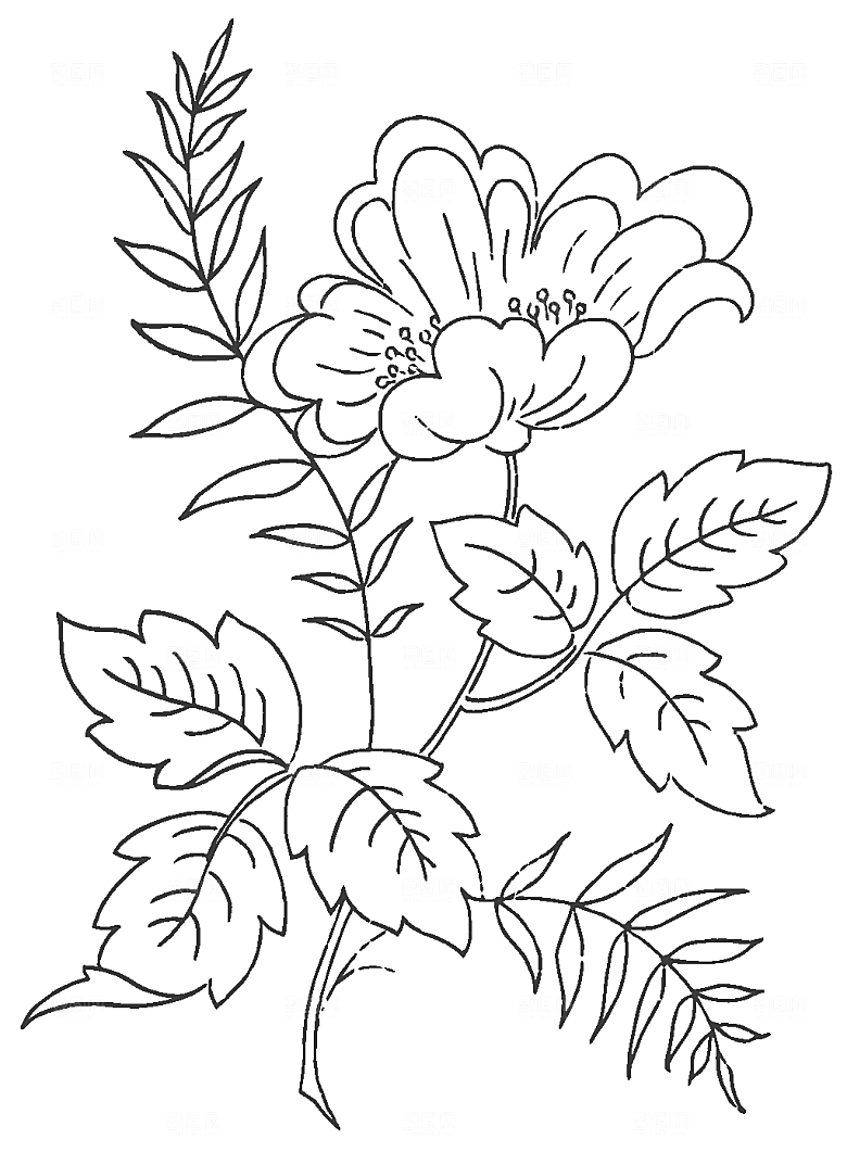 矢量手绘鲜花花朵素材