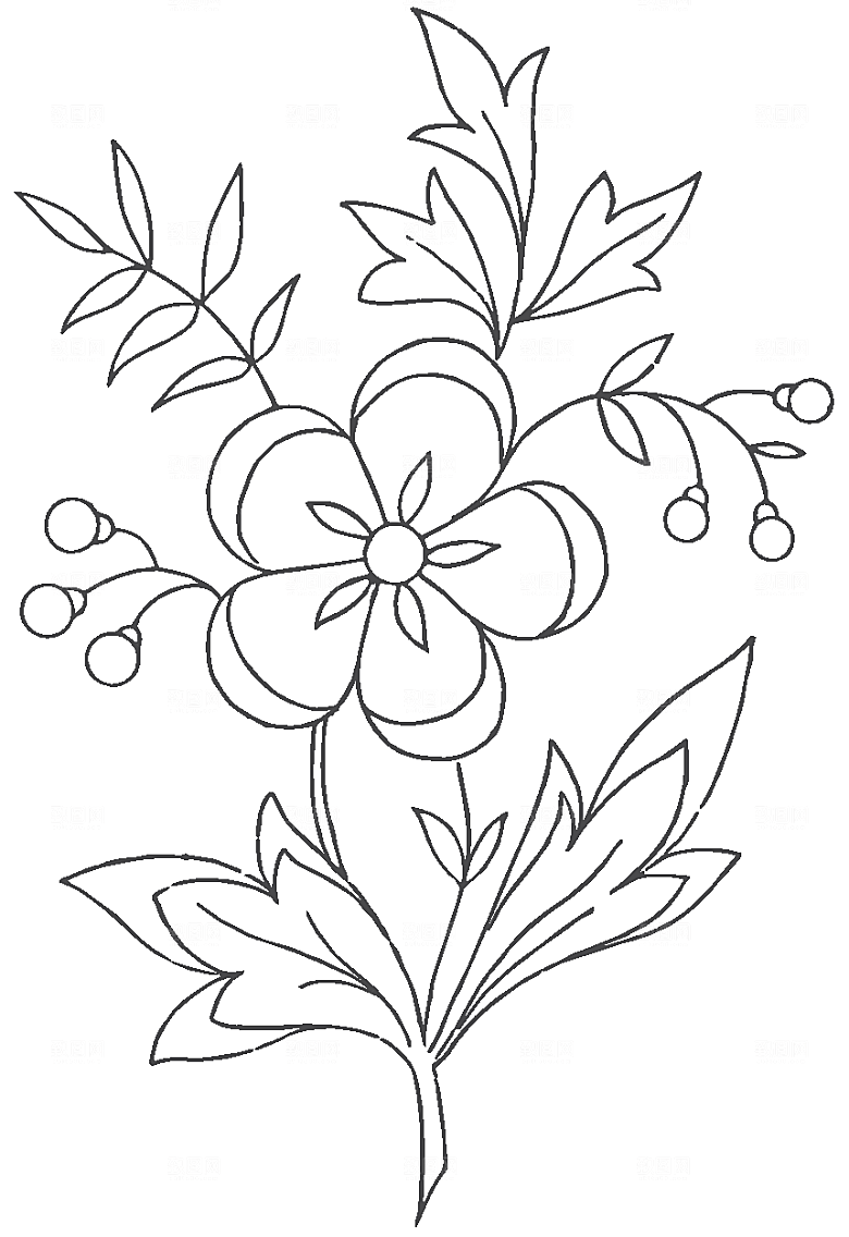 矢量手绘鲜花花朵素材