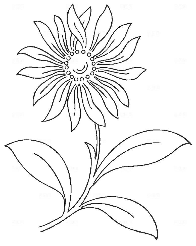 矢量鲜花花卉线条元素