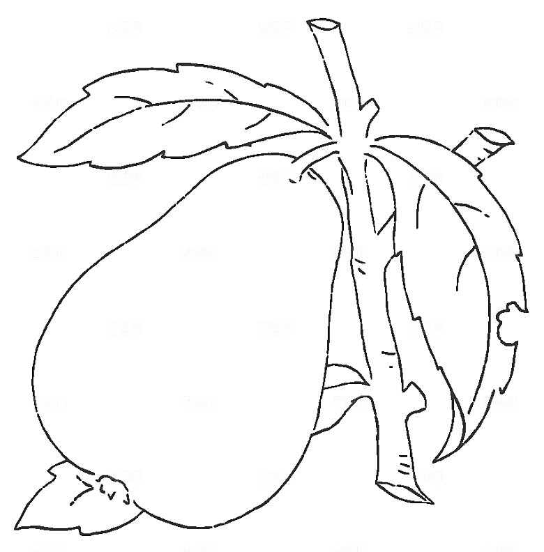 矢量鲜花花卉线条元素