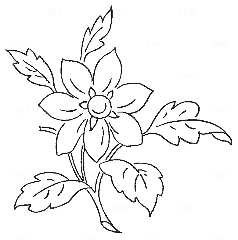 矢量鲜花花卉线条元素