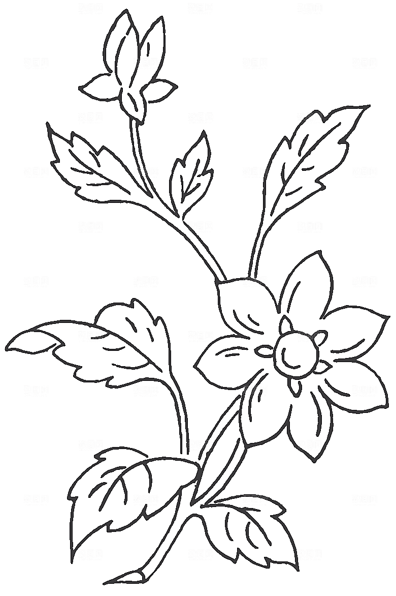 矢量鲜花花卉线条元素