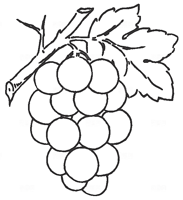 矢量鲜花花卉线条元素