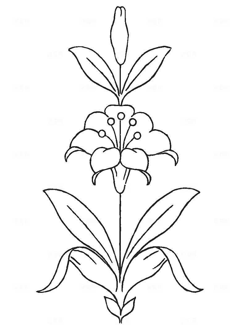 矢量鲜花花卉线条元素