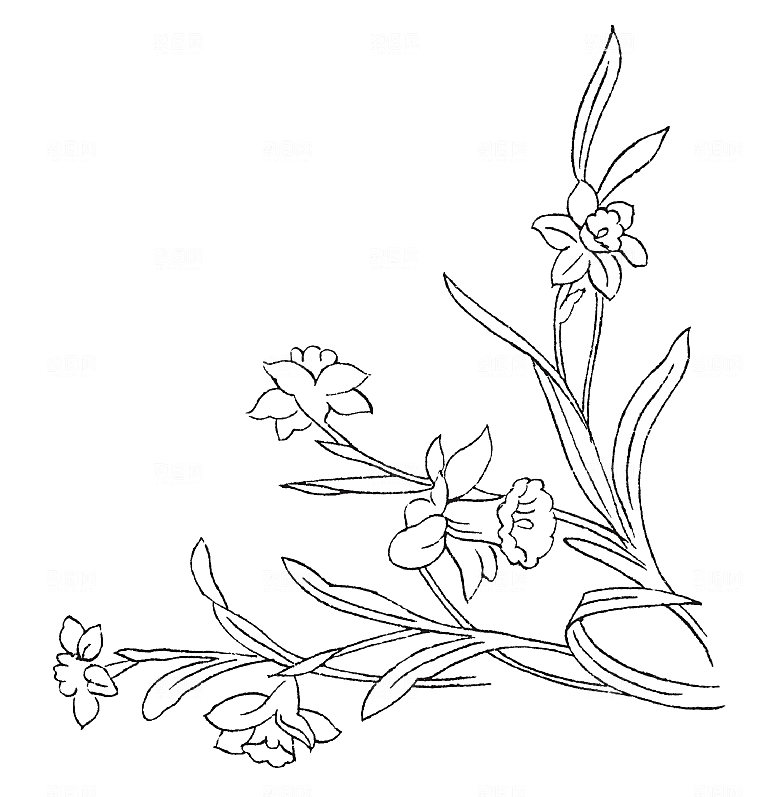 矢量鲜花花卉线条元素