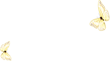 蝴蝶元素素材设计免抠
