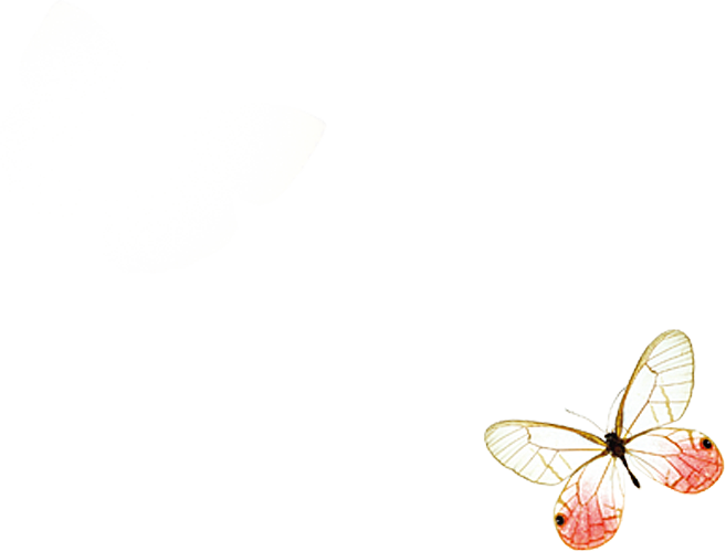蝴蝶元素素材设计免抠