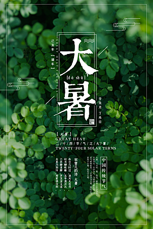 大暑节气简约大气海报