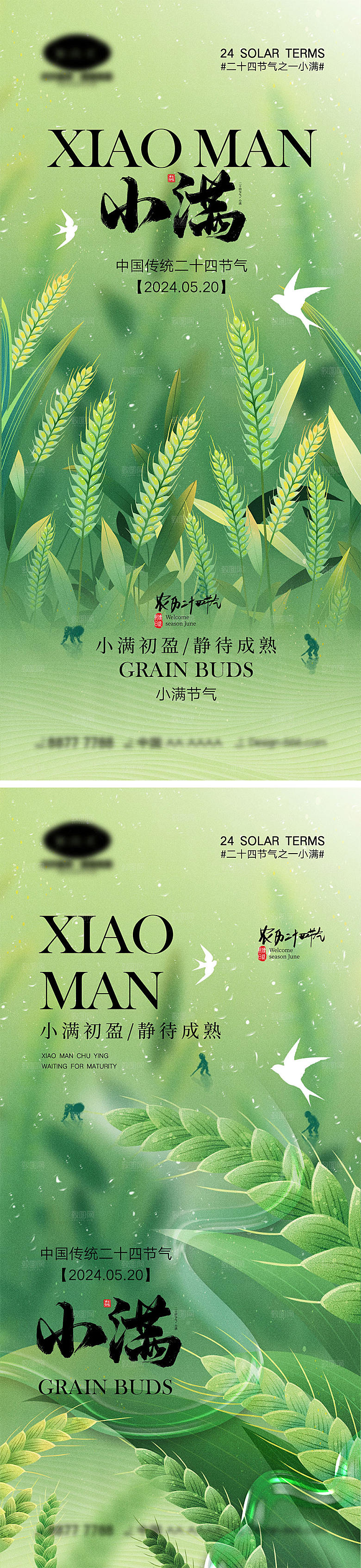 小满节气海报11