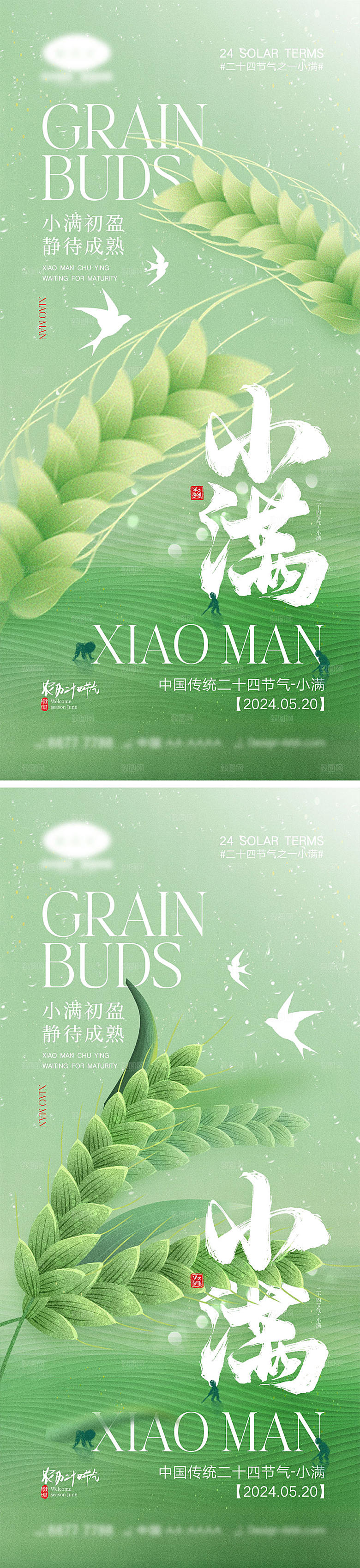 小满节气海报11