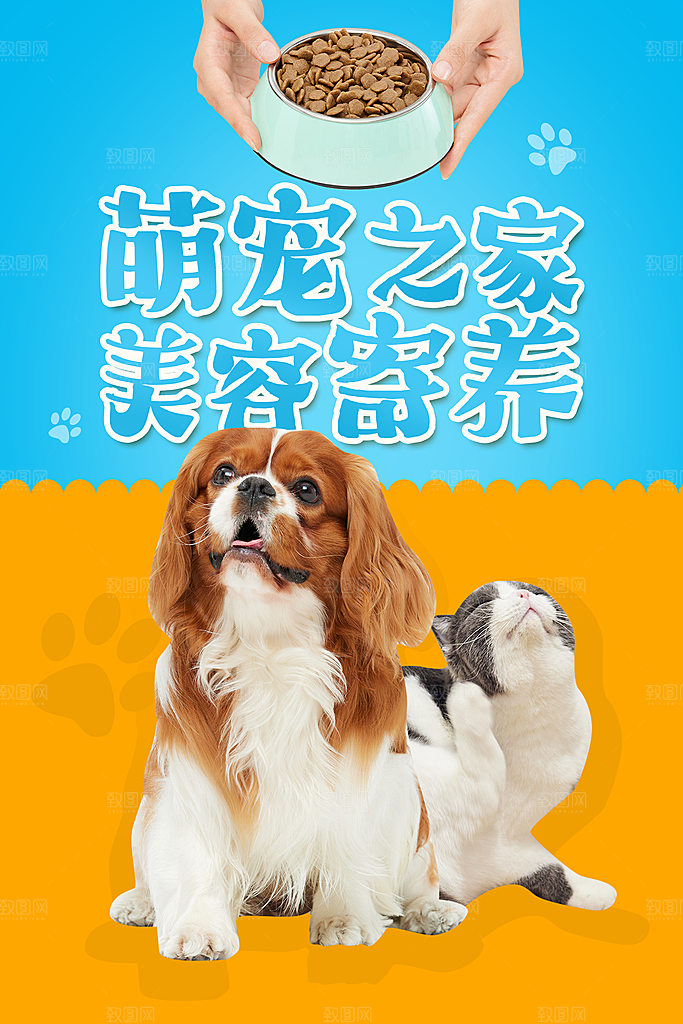 宠物店美容领养服务手机海报