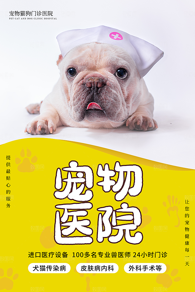 宠物美容领养服务手机海报