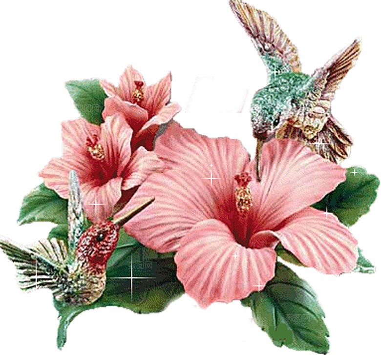玫瑰花设计素材元素