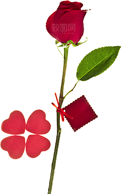 玫瑰花设计素材元素