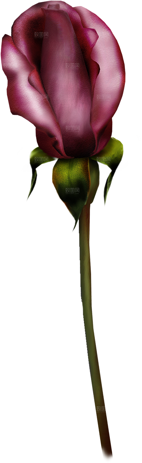 玫瑰花设计素材元素