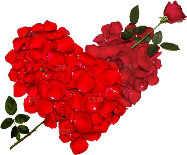 玫瑰花设计素材元素免抠