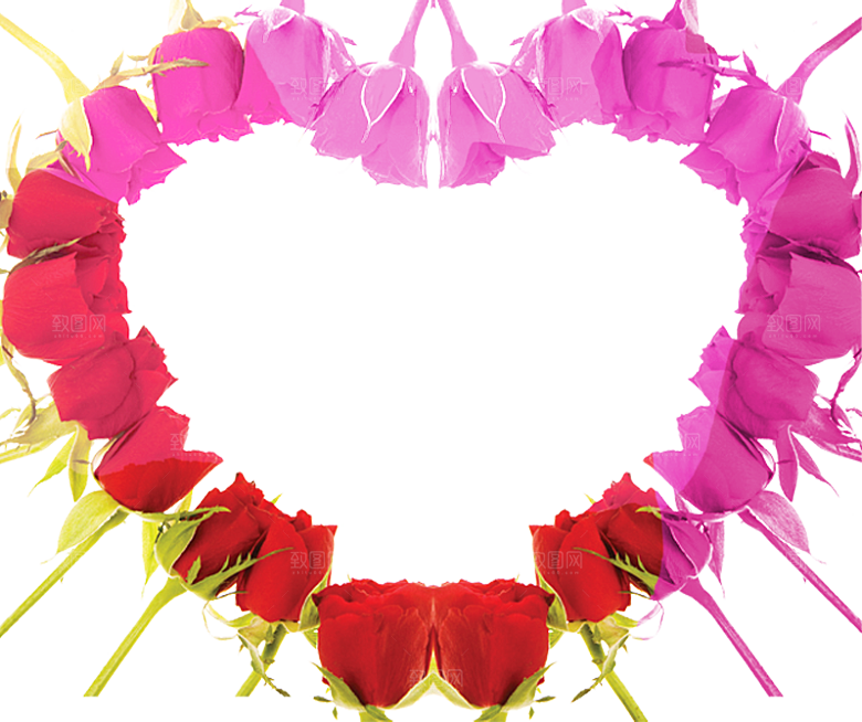 玫瑰花设计素材元素免抠