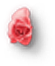 玫瑰花设计素材元素