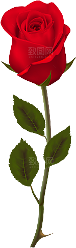 玫瑰花设计素材元素