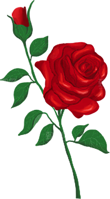 玫瑰花设计素材元素