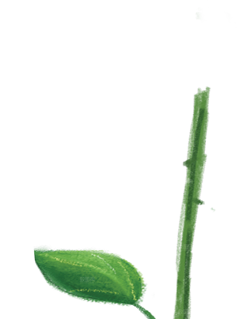 玫瑰花设计素材元素免抠