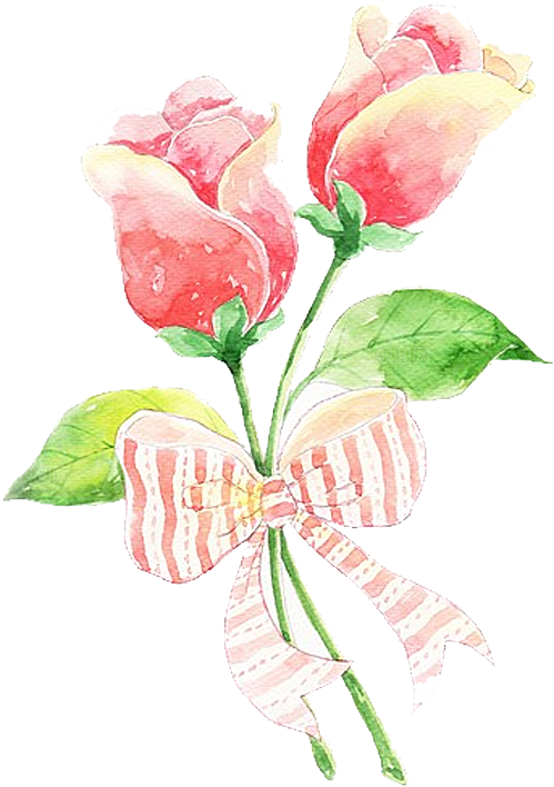 玫瑰花设计素材元素免抠