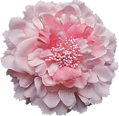 玫瑰花设计素材元素
