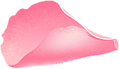 玫瑰花设计素材元素