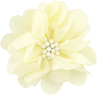 玫瑰花设计素材元素免抠