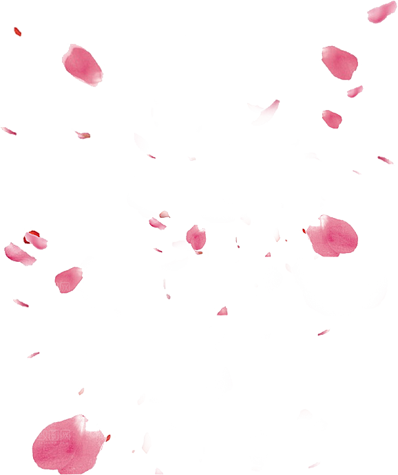 玫瑰花设计素材元素