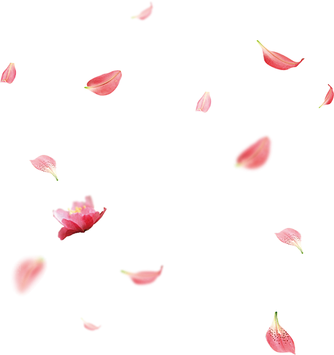 玫瑰花设计素材元素