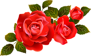 玫瑰花设计素材元素