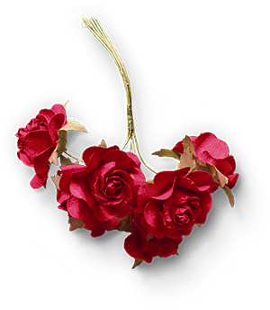 玫瑰花设计素材元素