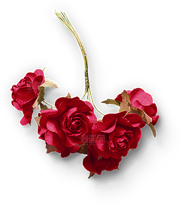 玫瑰花设计素材元素