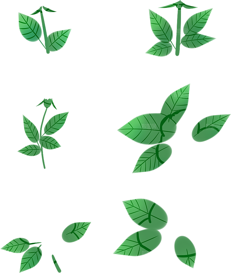 玫瑰花设计素材元素免抠