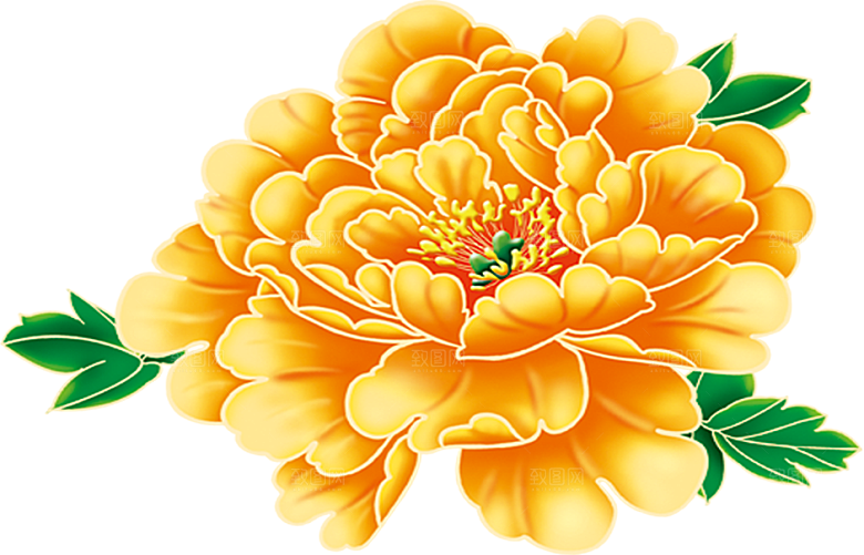 牡丹花免抠素材元素设计