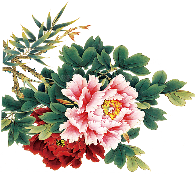 牡丹花免抠素材元素设计