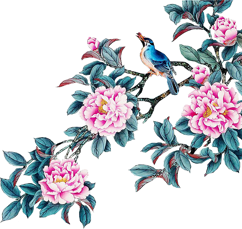 牡丹花免抠素材元素