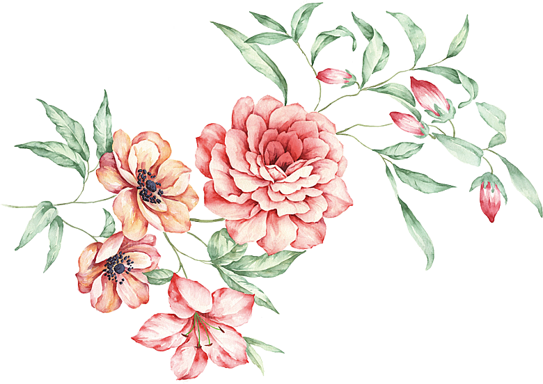 牡丹花免抠素材元素