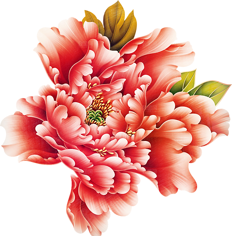 牡丹花免抠素材元素