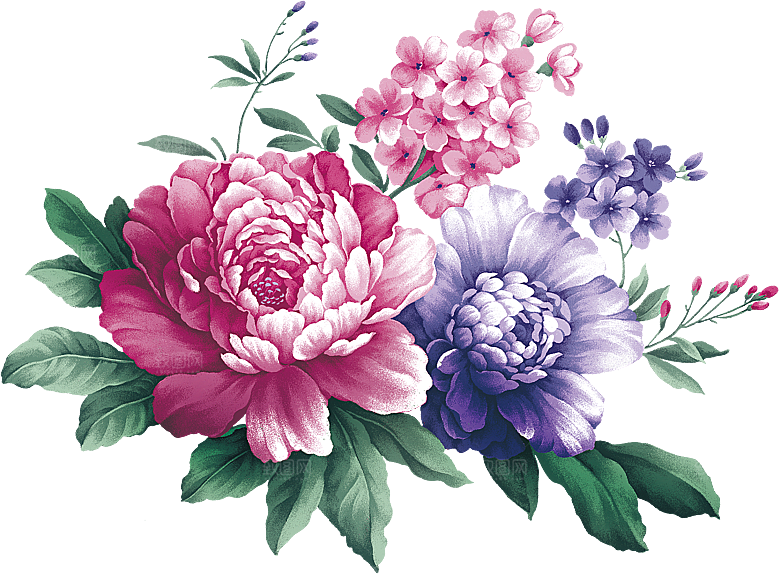 牡丹花免抠素材元素设计