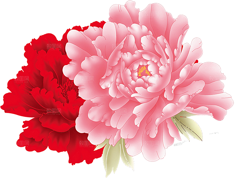 牡丹花免抠素材元素设计