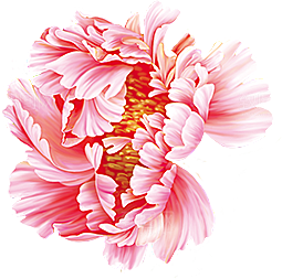牡丹花免抠素材元素设计
